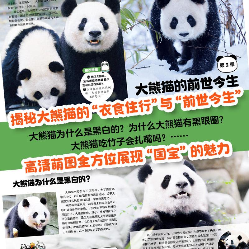 果赖大熊猫 Panda 图书 平装