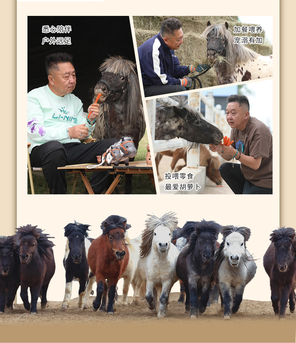 pony park点点马挂件配饰  pony park Diandian Pony Bag Accessory