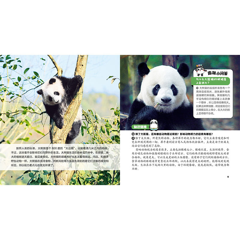 果赖大熊猫  Panda  图书 平装