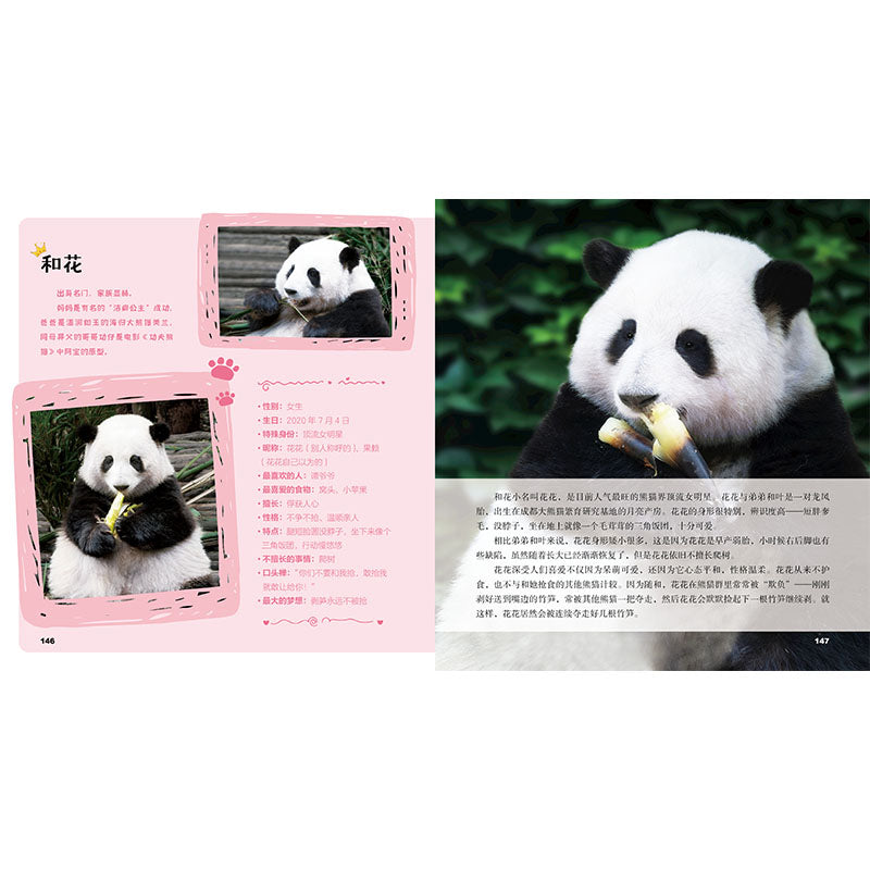 果赖大熊猫  Panda  图书 平装